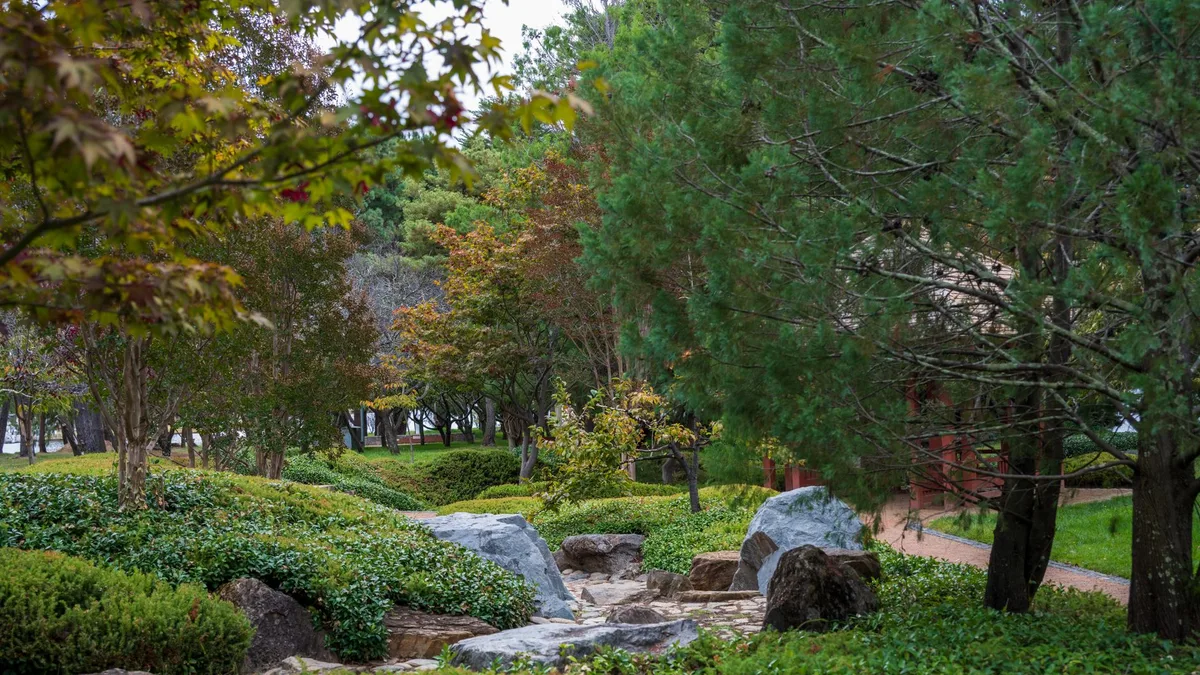 Tereny zielone - zdjęcie ilustracyjne